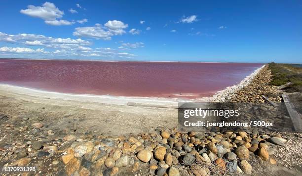 scenic view of beach against blue sky,france - bouches du rhone fotografías e imágenes de stock