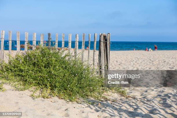 wooden fence on the beach - pirenéus orientais imagens e fotografias de stock