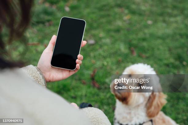 close up of young woman using smartphone while walking her dog at the park - dog human hand stock pictures, royalty-free photos & images