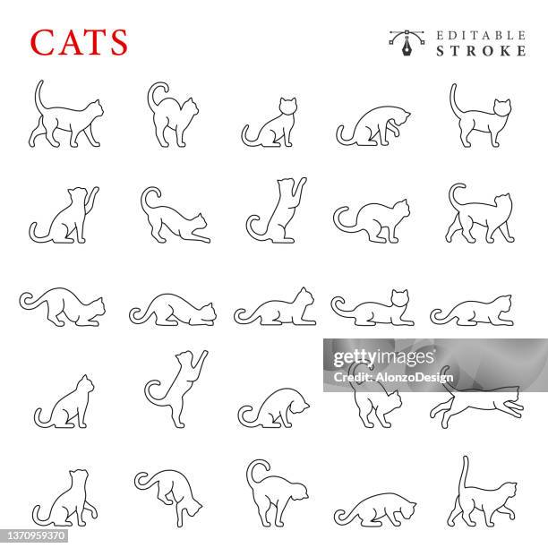 cats line icon set. editable stroke. - cat stock illustrations