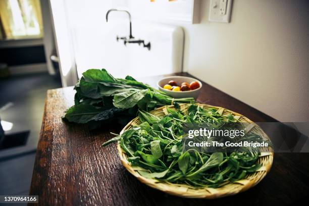 bowl of fresh greens on kitchen counter - rucola foto e immagini stock