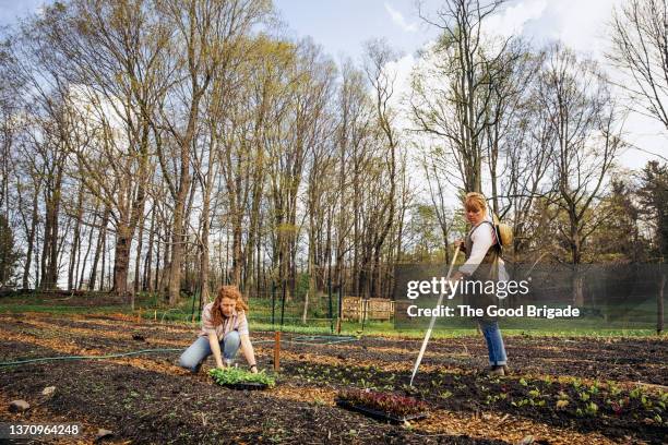 Spring Farm Planting Spring Planting Farm Photos and Premium High Res Pictures - Getty Images