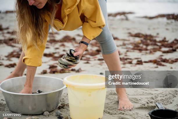 Beach Shell Sorting 15,407 Sea Shells On Beach Stock Photos, High-Res Pictures, and Images ...