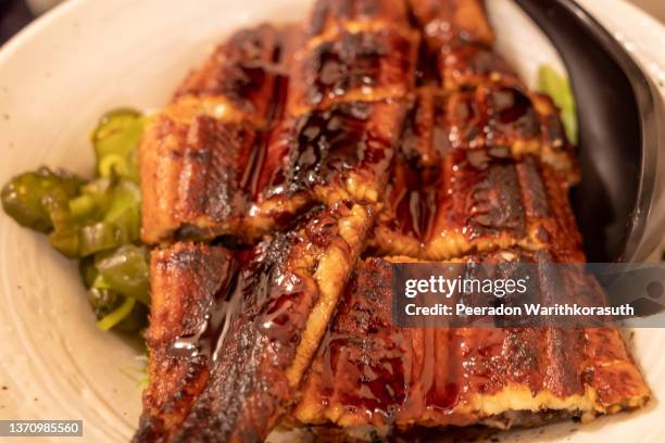 unagi don, japanese grilled eel with teriyaki sauce. - restaurant düsseldorf stock pictures, royalty-free photos & images