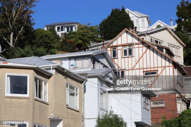 Older private homes overlook the Kainga Ora public housing construction site in Arlington Street, Mt Cook on February 17, 2022 in Wellington, New...