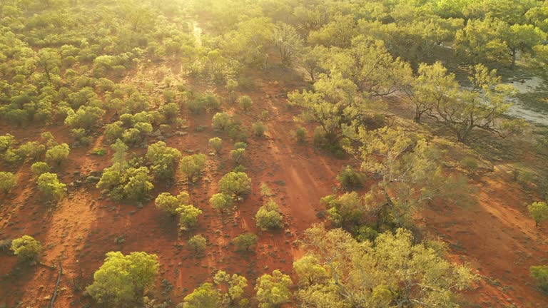 Aussie Outback Texture Outback Texture Videos and HD Footage - Getty Images