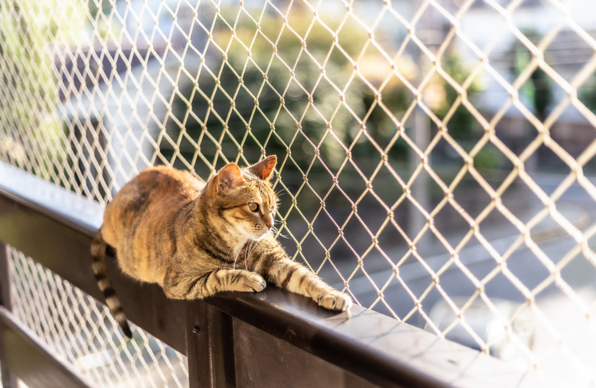 secure window