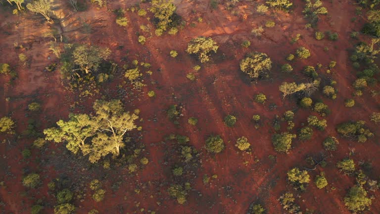 Aussie Outback Texture 157 Outback Dirt Texture Stock Videos, Footage, & 4K Video Clips ...