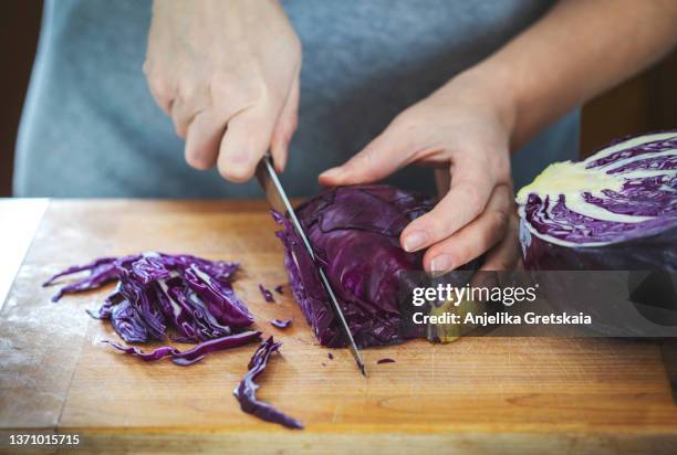 woman's hands cutting a red cabbage. - red cabbage stock pictures, royalty-free photos & images