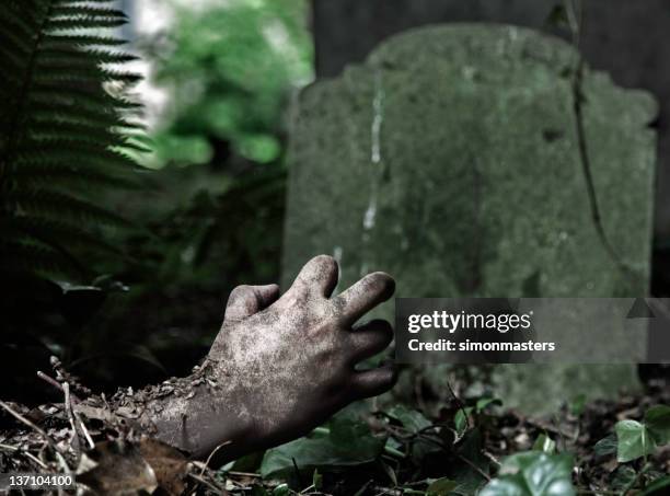 a rotting hand reach out from under the grave - zombie hand stock pictures, royalty-free photos & images