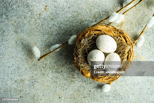 easter eggs and feathers in a bird's nest with pussy willow decorations on a table - saule blanc photos et images de collection