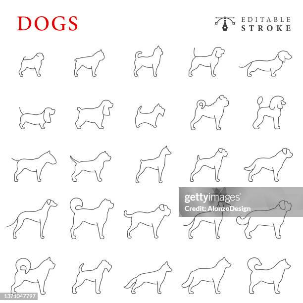 dogs line icon set. editable stroke. - cavalier king charles spaniel white background stock illustrations