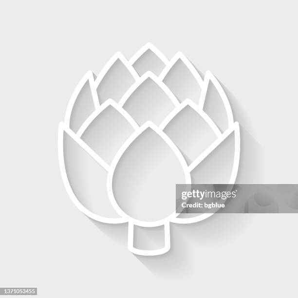 artichoke. icon with long shadow on blank background - flat design - artichoke simple stock illustrations