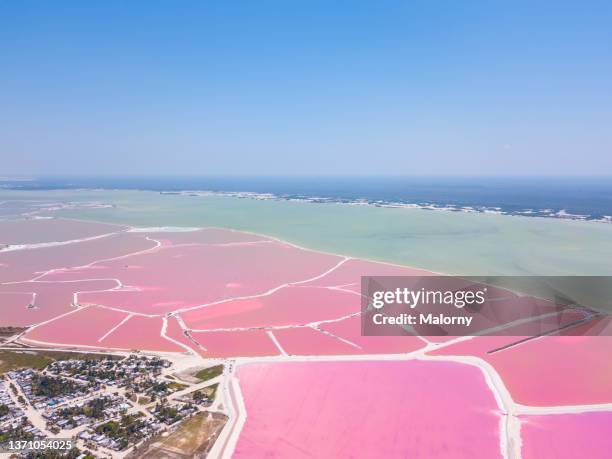 pink lake of las coloradas, mexico. - lagoon stock pictures, royalty-free photos & images