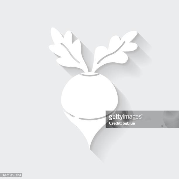 radish. icon with long shadow on blank background - flat design - raw food icons stock illustrations