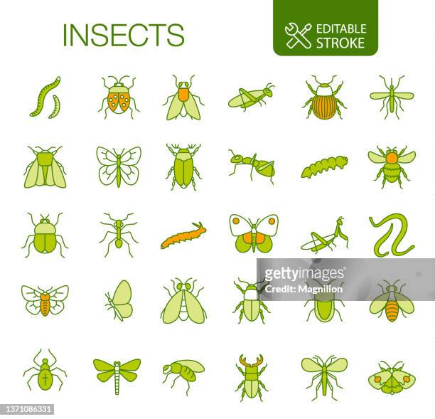 ilustraciones, imágenes clip art, dibujos animados e iconos de stock de iconos de insectos establecer trazo editable - pest