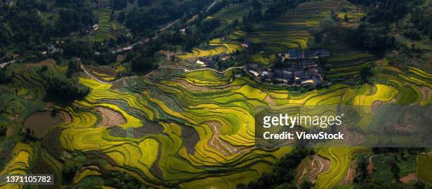 chongqing countryside - landschaft asien schiene stock-fotos und bilder