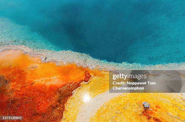 hot springs in yellowstone national park, jackson, wyoming, usa. - colour saturation stock pictures, royalty-free photos & images