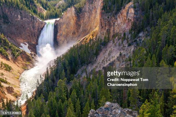 yellowstone waterfalls, yellowstone national park, wyoming, usa - yellowstone river stock pictures, royalty-free photos & images