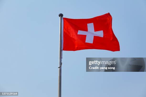 swiss flag - swiss flag bildbanksfoton och bilder