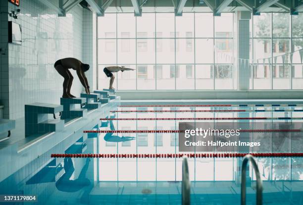 side view of swimmers preparing to jump into indoors swimming pool. - swimming starting block stock pictures, royalty-free photos & images