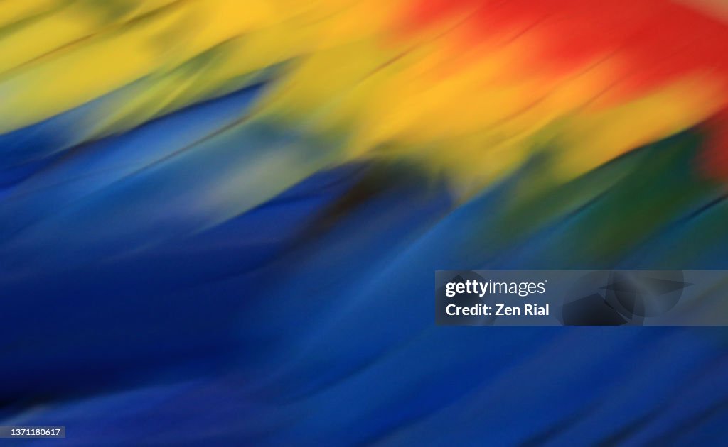 Painterly defocused multi color macaw feathers in full frame