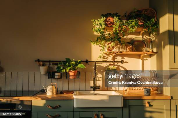 luxury and very clean empty european kitchen - kitchen photos et images de collection