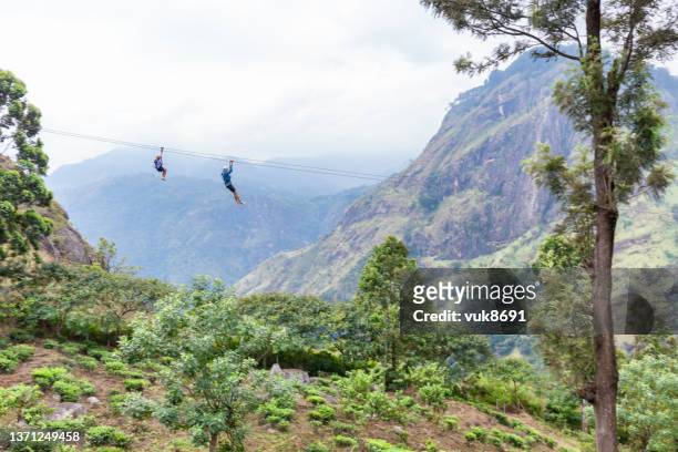 zip line - adrenaline park stock pictures, royalty-free photos & images