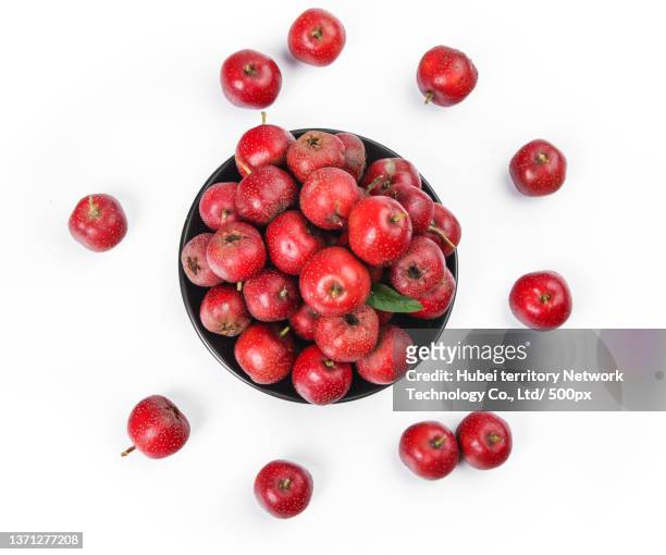 hawthorn fruit on a plate on a white background - hawthorn,_victoria stock pictures, royalty-free photos & images