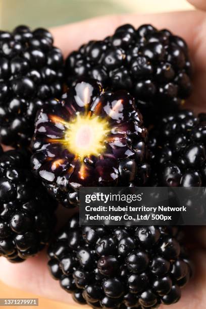 Black Raspberry Brambles 80 Brambles Ltd Stock Photos, High-Res Pictures, and Images - Getty Images