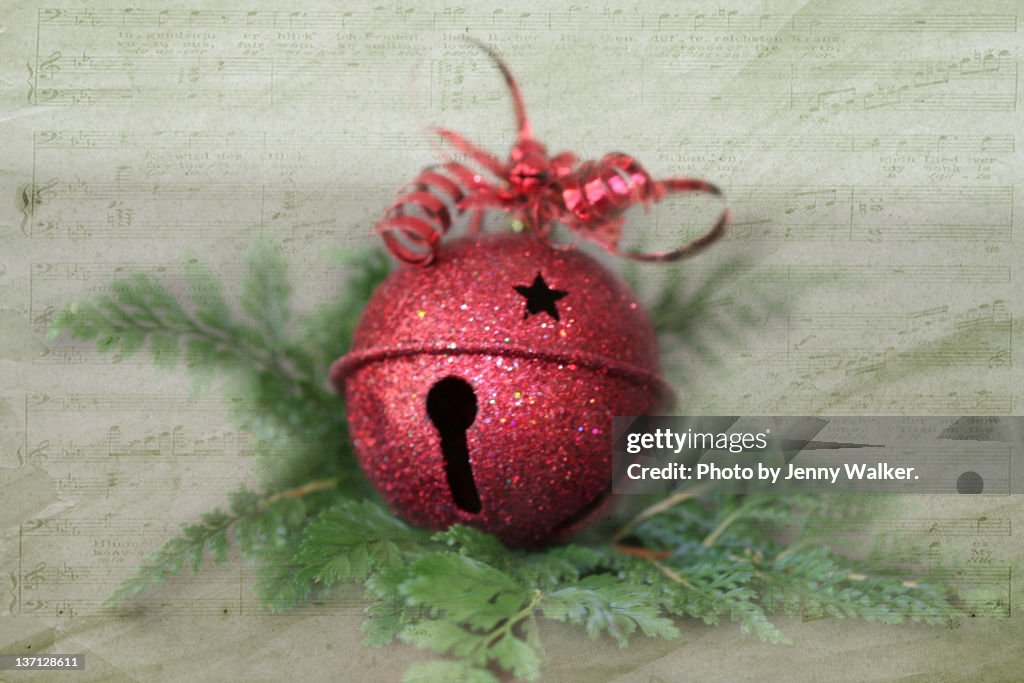 Jingle Bell laying on fern leaf