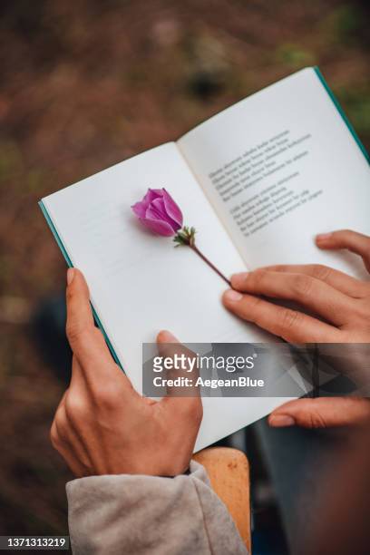 pink bookmark flower - romance book stock pictures, royalty-free photos & images