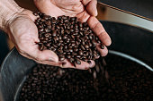 Coffee beans in the hand of a worker