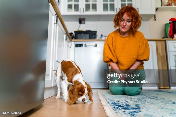 young woman feeding her dog - dog eating 個照片及圖片檔