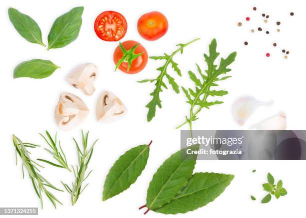 tomatoes, mushrooms, garlics, arugula, peppercorns, rosemary, oregano, basil and laurel - herb isolated stock pictures, royalty-free photos & images