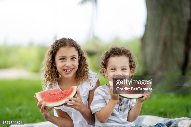 siblings eating watermelon - watermelon picnic stock pictures, royalty-free photos & images