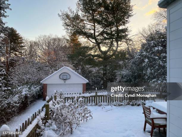 snowy yard at sunrise - baltimore maryland landscape stock pictures, royalty-free photos & images