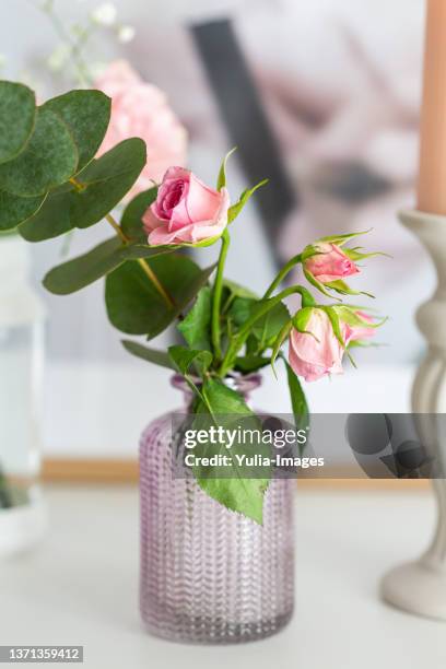 fresh eucalyptus leaves with pink roses in a vase - bud vase stock pictures, royalty-free photos & images