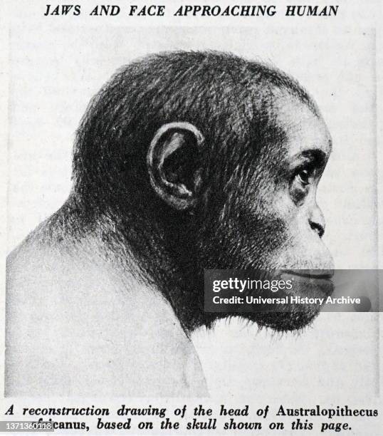 Darwinism used to advantage by the hunting fraternity. Admiral Rous. Henry John Rouse . Illustration from Punch, 7 March 1874, London.