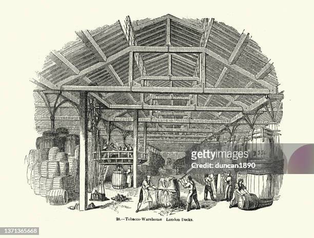 arbeiter im tabaklager, fässer auspacken, viktorianische 1850er jahre, 19. jahrhundert - industriegebiet stock-grafiken, -clipart, -cartoons und -symbole