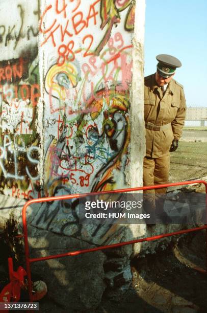An East German policeman looks at a small Christmas tree adorning the West German side of the Berlin Wall. The guard is standing at the newly created...