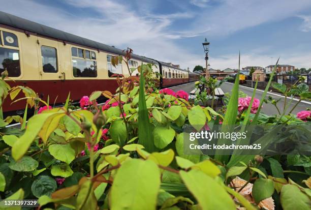 severn valley railway - severn river stock pictures, royalty-free photos & images