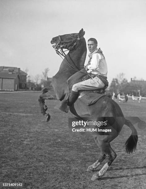 Man on Rearing horse ca. 1930.