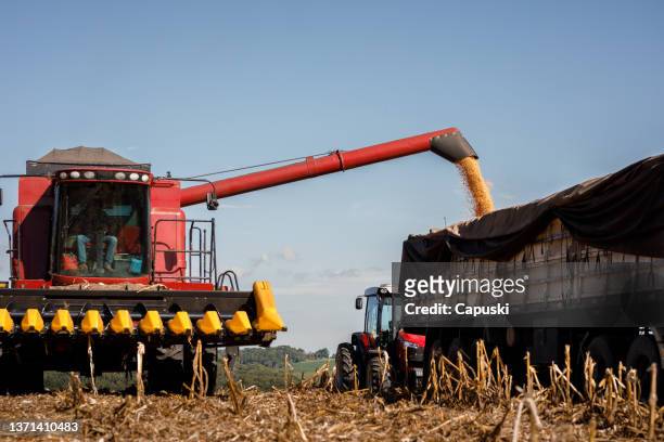 combine harvester unloading corn inside a truck - colheita stock pictures, royalty-free photos & images