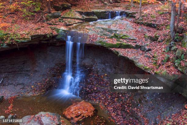 high angle view of blue hen falls in the autumn with fall foliage colors - cuyahoga valley national park, ohio, usa - national recreation area stock-fotos und bilder