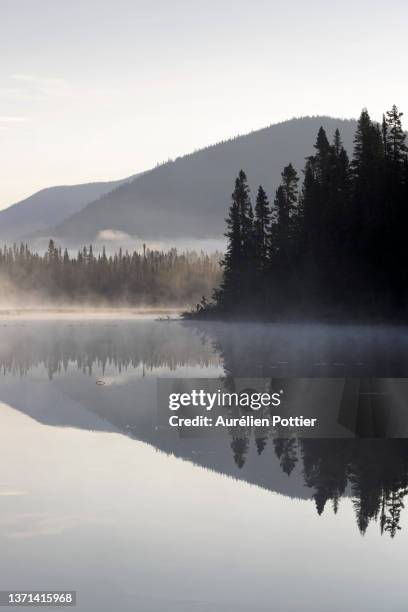 parc national de la gaspésie, aube au petit lac cascapédia - parc national de la gaspésie stock pictures, royalty-free photos & images