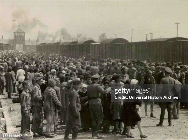 Selection' of Hungarian Jews on the ramp at Auschwitz-II-Birkenau in German-occupied Poland, May/June 1944, during the final phase of the Holocaust....