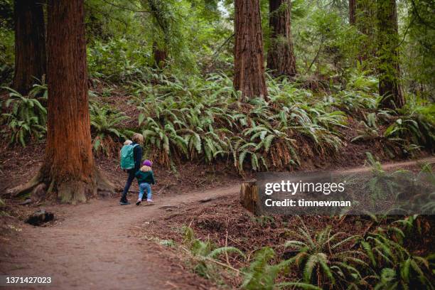 mother hiking in forest with two children - baby boot stock pictures, royalty-free photos & images