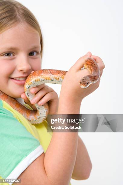 fearless girl with snake - corn snake stockfoto's en -beelden