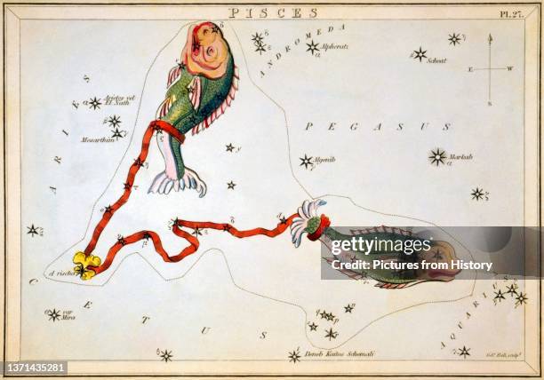 'Pisces', plate 27 in Urania's Mirror, a set of celestial cards accompanied by 'A Familiar Treatise on Astronomy', Sidney Hall and Richard Rouse,...